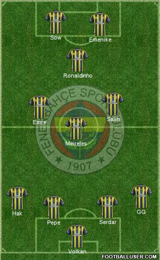 Fenerbahçe SK Formation 2013