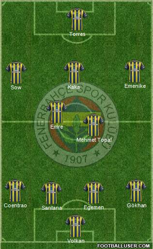 Fenerbahçe SK Formation 2013