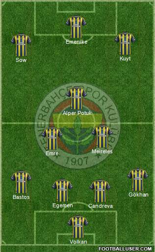 Fenerbahçe SK Formation 2013