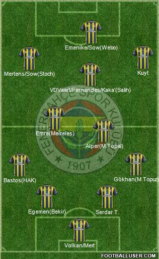 Fenerbahçe SK Formation 2013