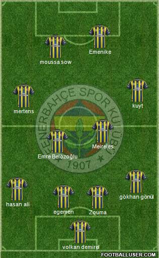 Fenerbahçe SK Formation 2013