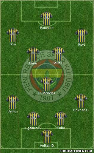 Fenerbahçe SK Formation 2013