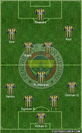 Fenerbahçe SK Formation 2013