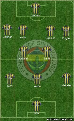 Fenerbahçe SK Formation 2013