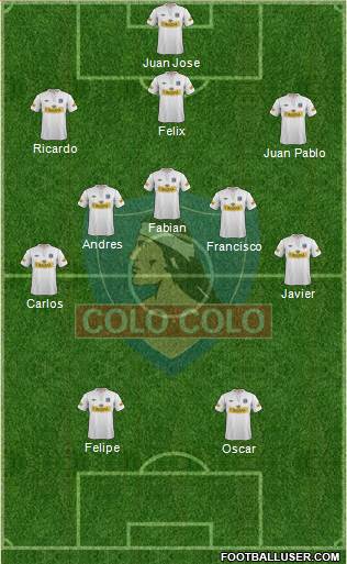 CSD Colo Colo Formation 2013