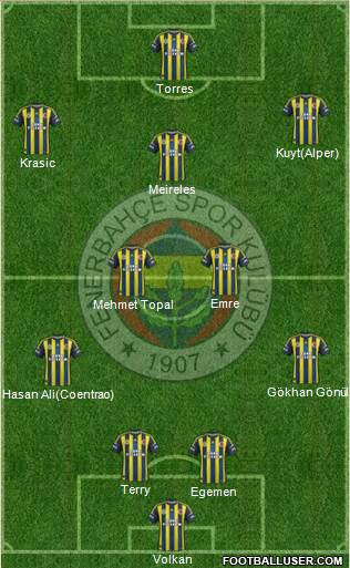 Fenerbahçe SK Formation 2013