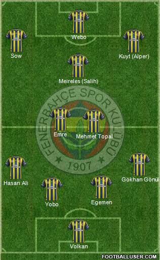 Fenerbahçe SK Formation 2013