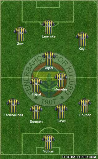 Fenerbahçe SK Formation 2013