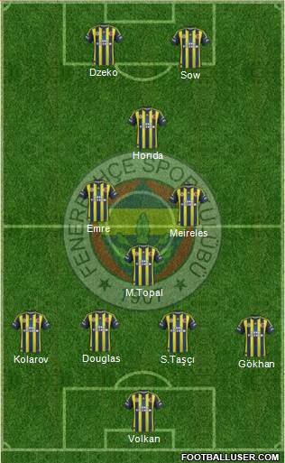 Fenerbahçe SK Formation 2013