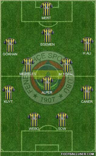Fenerbahçe SK Formation 2013