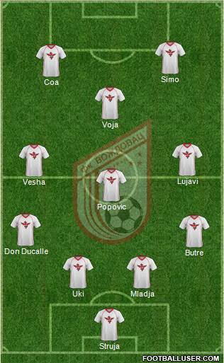 FK Vozdovac Beograd Formation 2013