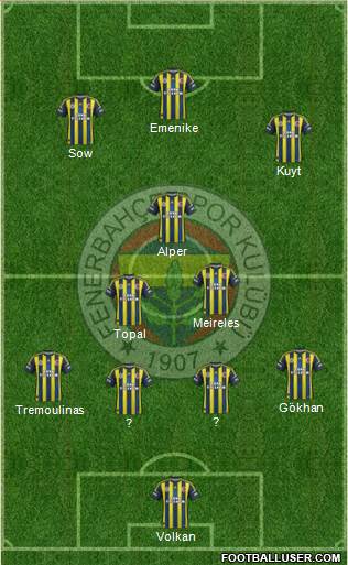 Fenerbahçe SK Formation 2013