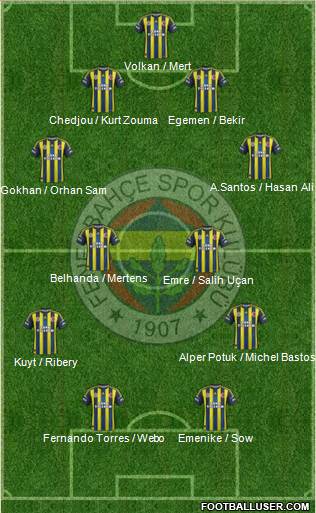 Fenerbahçe SK Formation 2013