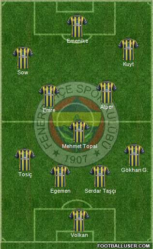 Fenerbahçe SK Formation 2013