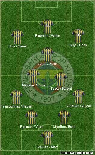 Fenerbahçe SK Formation 2013