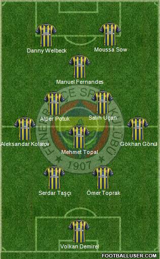 Fenerbahçe SK Formation 2013