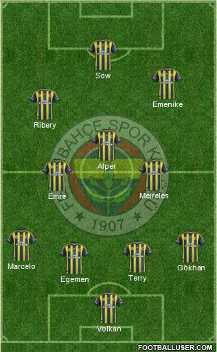 Fenerbahçe SK Formation 2013