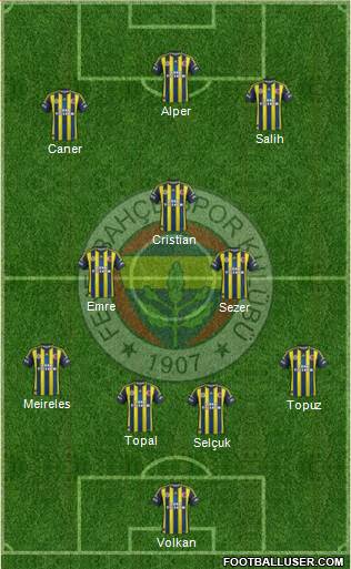 Fenerbahçe SK Formation 2013