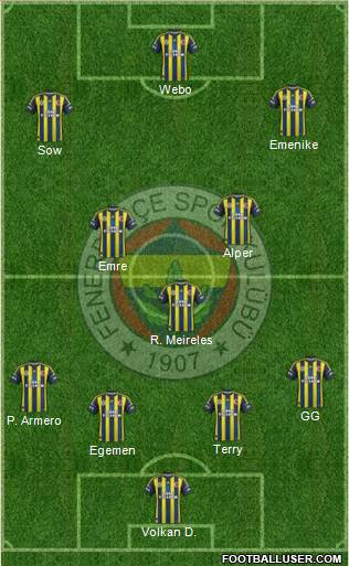 Fenerbahçe SK Formation 2013
