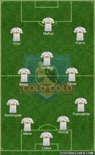 CSD Colo Colo Formation 2013