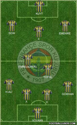 Fenerbahçe SK Formation 2013