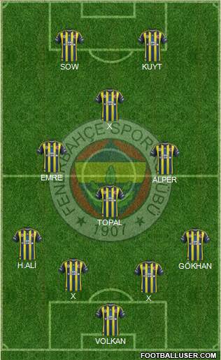 Fenerbahçe SK Formation 2013