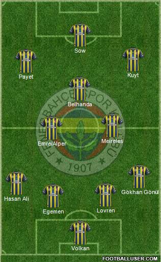 Fenerbahçe SK Formation 2013