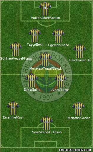 Fenerbahçe SK Formation 2013