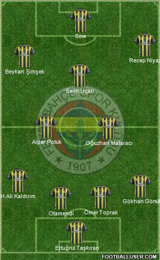 Fenerbahçe SK Formation 2013