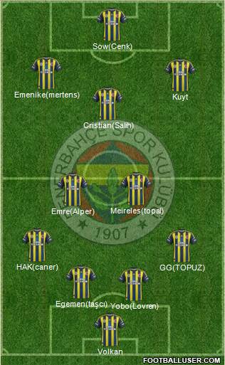 Fenerbahçe SK Formation 2013