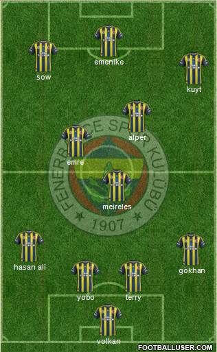 Fenerbahçe SK Formation 2013