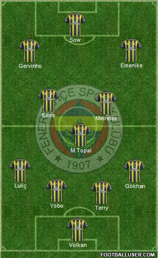 Fenerbahçe SK Formation 2013