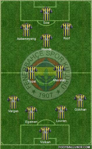 Fenerbahçe SK Formation 2013