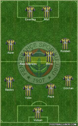Fenerbahçe SK Formation 2013