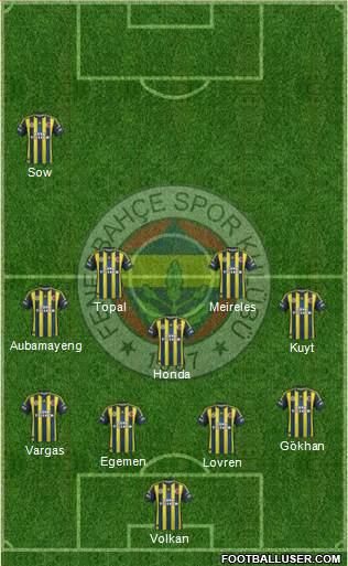 Fenerbahçe SK Formation 2013