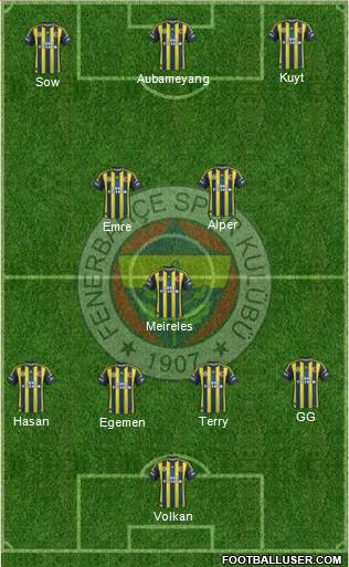 Fenerbahçe SK Formation 2013