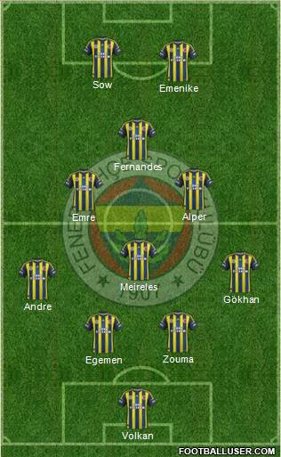 Fenerbahçe SK Formation 2013