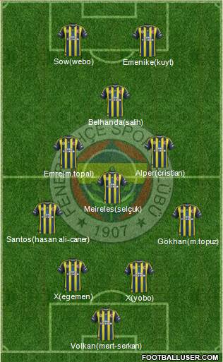 Fenerbahçe SK Formation 2013