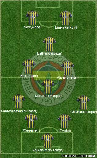 Fenerbahçe SK Formation 2013