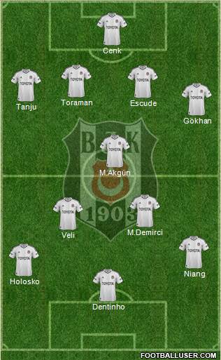Besiktas JK Formation 2013