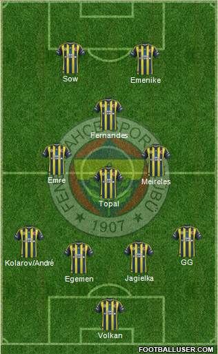 Fenerbahçe SK Formation 2013