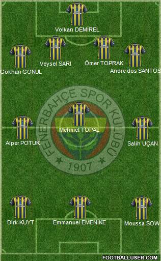 Fenerbahçe SK Formation 2013