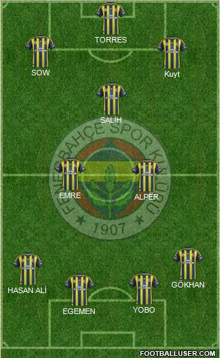 Fenerbahçe SK Formation 2013