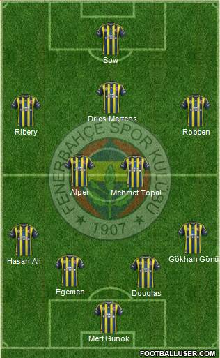 Fenerbahçe SK Formation 2013