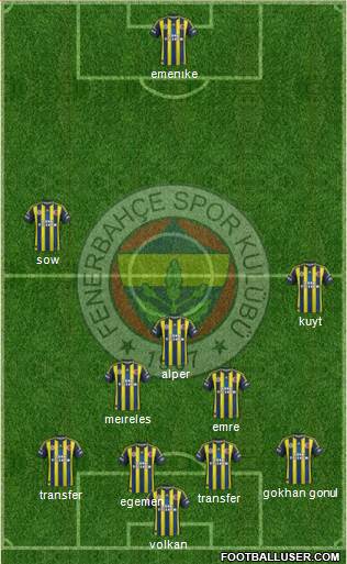 Fenerbahçe SK Formation 2013