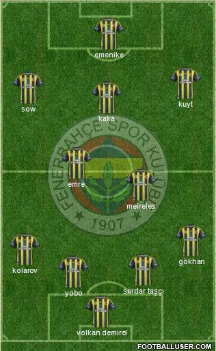 Fenerbahçe SK Formation 2013
