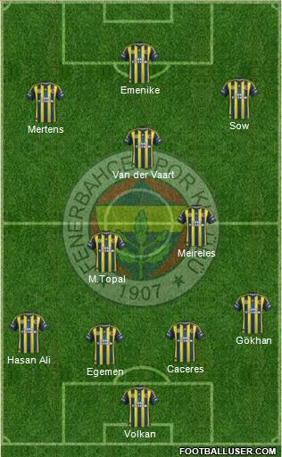 Fenerbahçe SK Formation 2013