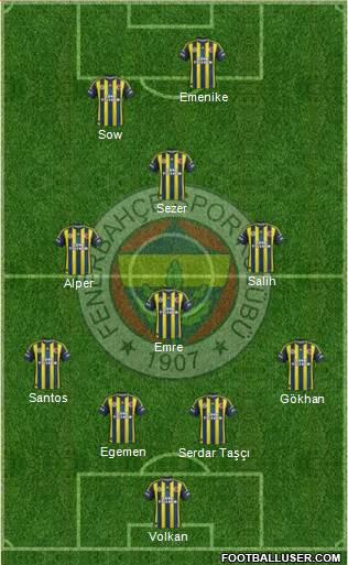 Fenerbahçe SK Formation 2013