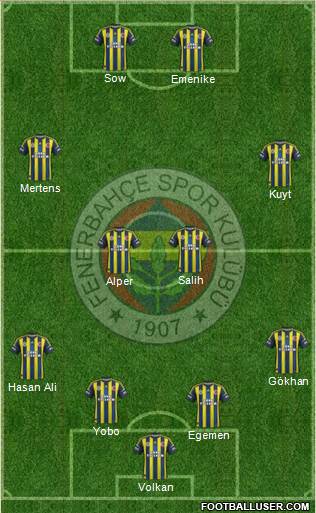 Fenerbahçe SK Formation 2013