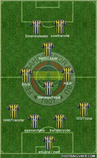 Fenerbahçe SK Formation 2013